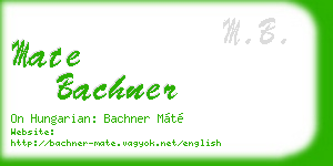 mate bachner business card
